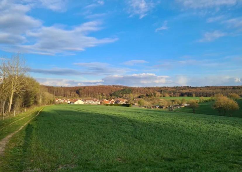 Casa Linda, Luxurioese Ferienwohnung Im Gruenen Ober-Ramstadt Exterior foto